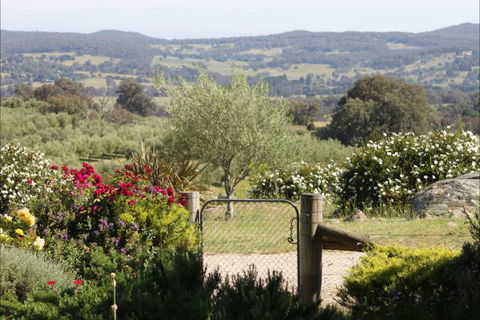 L'Oliveraie - Accommodation 4U 1