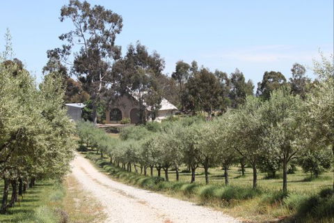 L'Oliveraie - Accommodation 4U 2