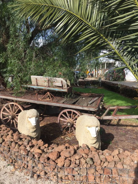 Little River Bed And Breakfast - Accommodation 4U 5