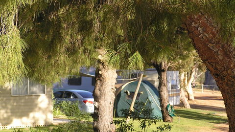 Barmera North Lake Caravan Park - Accommodation 4U 4