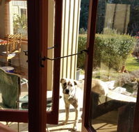 Mara Ponds Branxholm - Accommodation 4U