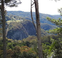 Mt Tamborine Motel - Accommodation 4U