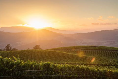 Mt Bellevue Lodge - King Valley - Accommodation 4U 1