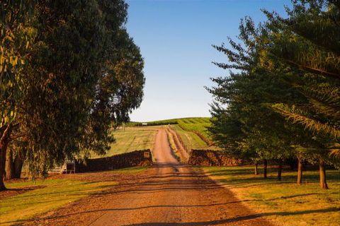 Mt Bellevue Lodge - King Valley - Accommodation 4U 3