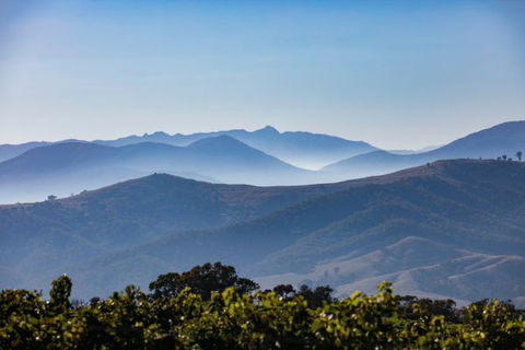 Mt Bellevue Lodge - King Valley - Accommodation 4U 4