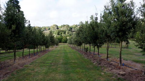 Oakhill Cottage - Accommodation 4U 6