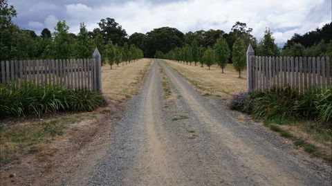 Oakhill Cottage - Accommodation 4U 7