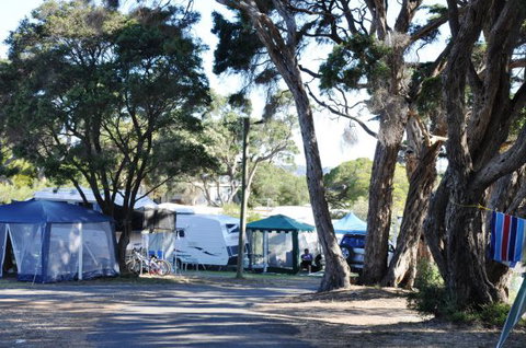 Queenscliff Tourist Park - Accommodation 4U 2