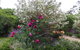 Quartz Cottage - thumb 8