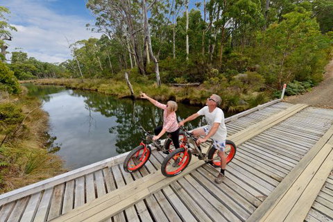 Saintys Creek Cottage - Accommodation 4U 6