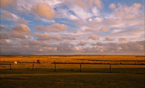 Sanctuary@Waratah - Accommodation 4U 8