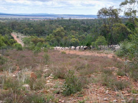 Selby Organic Farm Stay - Accommodation 4U 8