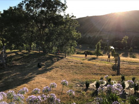 Shearer's Hill - Luxury Farm Stay - Accommodation 4U 9