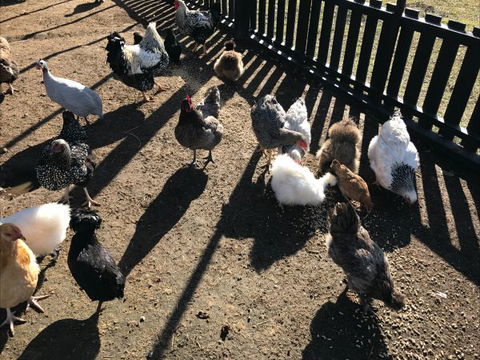 The Woods Farm - Accommodation 4U 4