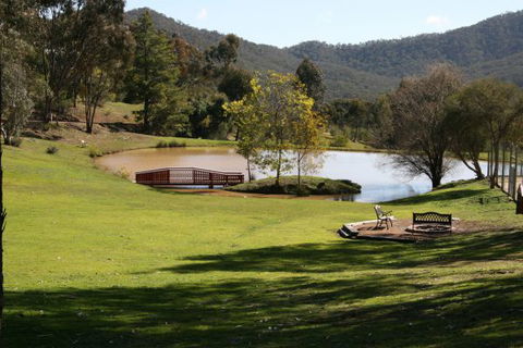 The Black Sparrow - Accommodation 4U 0