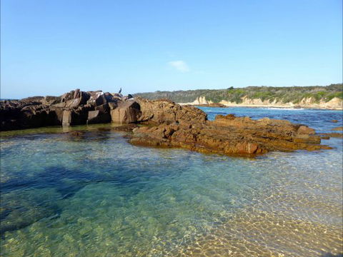 Tilba Coastal Retreat - Accommodation 4U 6