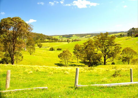 Tilba Coastal Retreat - Accommodation 4U 9