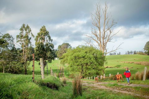 Wines For Joanie Cottage - Accommodation 4U 6