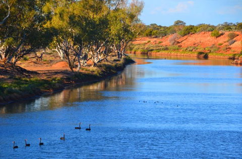 Murchison Oasis Roadhouse, Motel, Caravan Park - Accommodation 4U 2