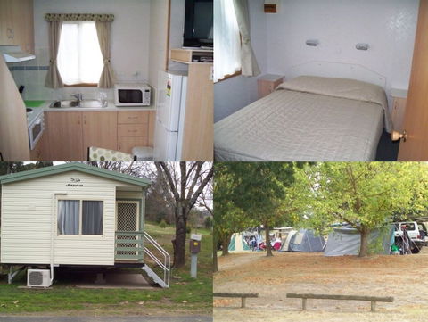 Adelong Golden Gully Caravan Park - Accommodation 4U 4