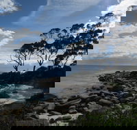 Binalong Bay Beach Shack - Accommodation 4U