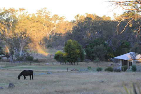 Boongarrie Luxury Tent - Accommodation 4U 7