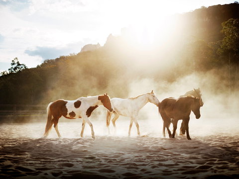 Emirates One&Only Wolgan Valley - Accommodation 4U 1