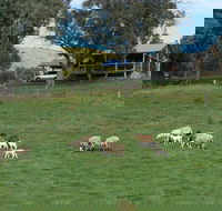 Gaddleen Grove Cottages - Accommodation 4U