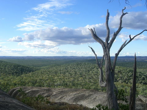 Goat Rock Camping Ground And Tourist Park - Accommodation 4U 0