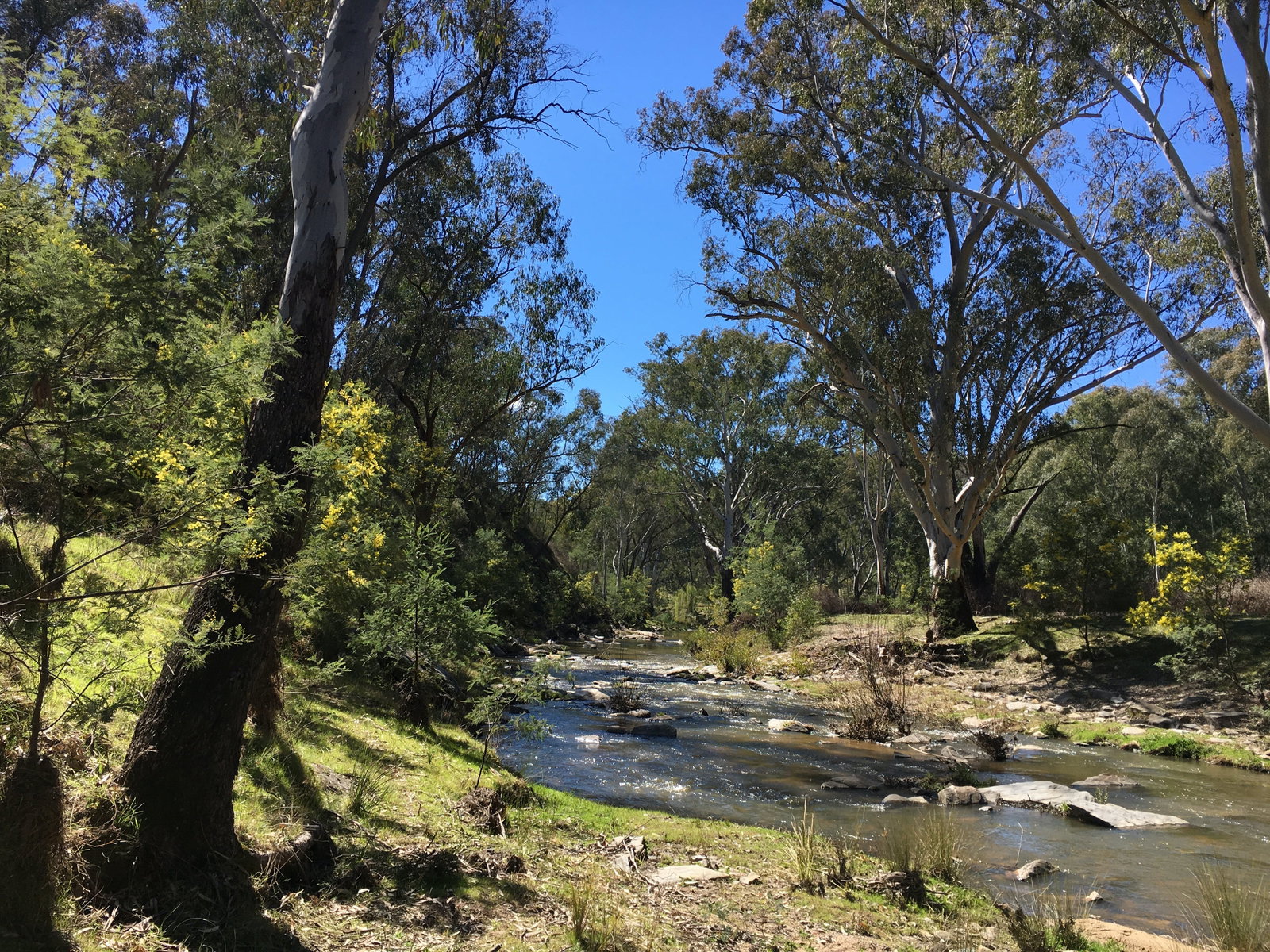 Mount Adrah NSW Accommodation 4U