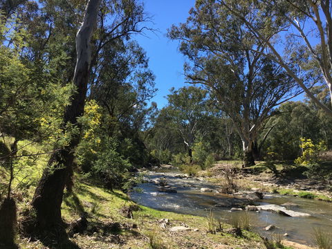 Highfield Farm And Woodland Bush Campsites - Accommodation 4U 0