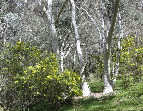 Highfield Farm And Woodland Bush Campsites - Accommodation 4U 4