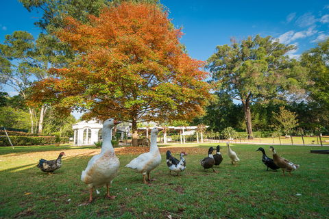 Kalinya Estate - Accommodation 4U 8