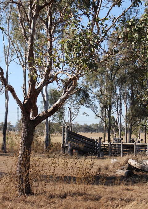 Keira Farm - Accommodation 4U 3