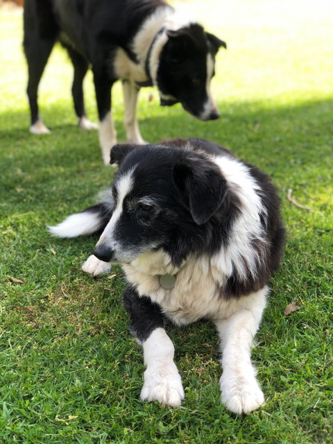 Margaret River Chalets - Accommodation 4U 1