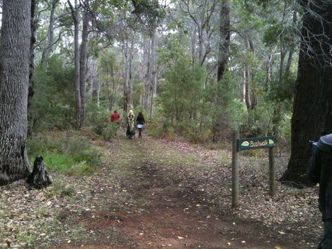 Margaret River Chalets - Accommodation 4U 2