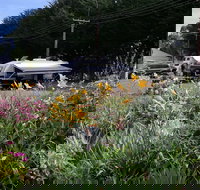 Millicent Showground RV Park - Accommodation 4U