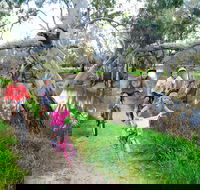 NRMA Echuca Holiday Park - Accommodation 4U