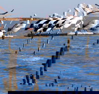 Pelican Perch Retreat - Accommodation 4U