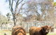 Ratho Farm - thumb 8