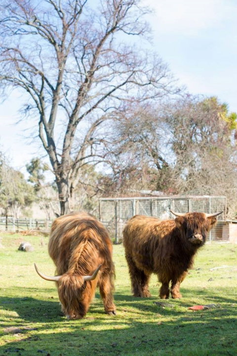 Ratho Farm - Accommodation 4U 8