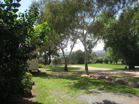 Tenterfield Lodge Caravan Park - Accommodation 4U 1