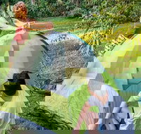 Warrabah campground and picnic area - Accommodation 4U