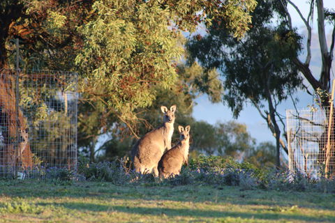 Abercrombie Ridge - Accommodation 4U 7