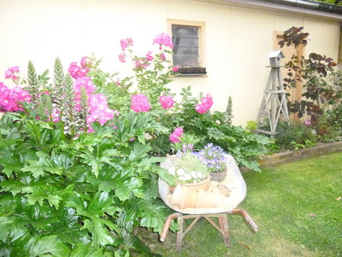 Aggies Bed And Breakfast - Accommodation 4U 2