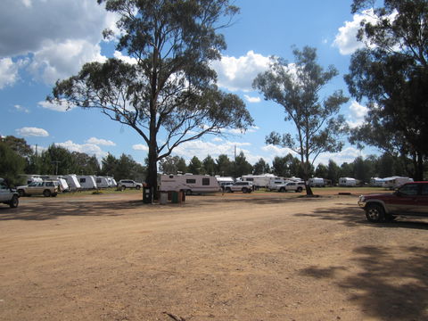 Ariah Park Camping Ground - Accommodation 4U 4