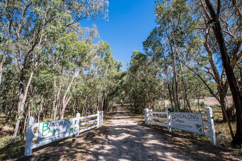 Bandalong Cottages - Accommodation 4U 0