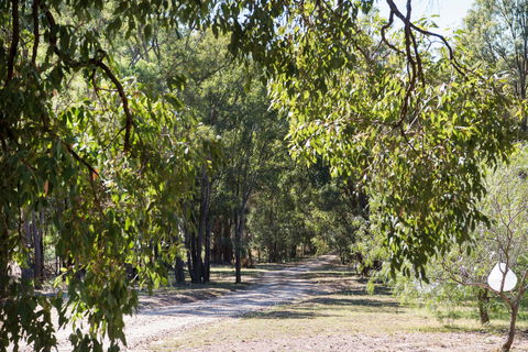 Bandalong Cottages - Accommodation 4U 9