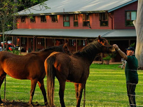 Bilpin Country Lodge - Accommodation 4U 3