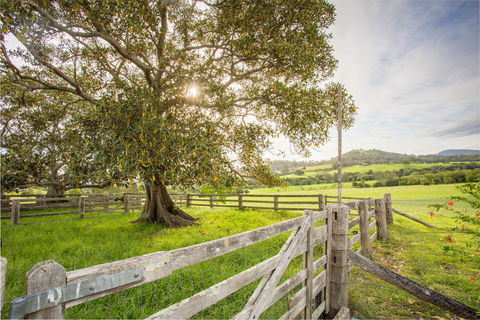 Bo-Warra Farmstay - Accommodation 4U 2